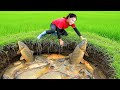 Harvesting 1000kg Giant fishes  on a dangerous cliff