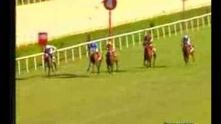 Sabırlı - Enternasyonel Adnan Menderes Koşusu Gr2 2006