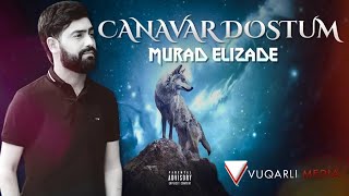 Murad Elizade - Canavar Dostum 2022 Resimi