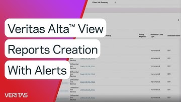 Veritas Alta View™ Reports Creation with Alerts