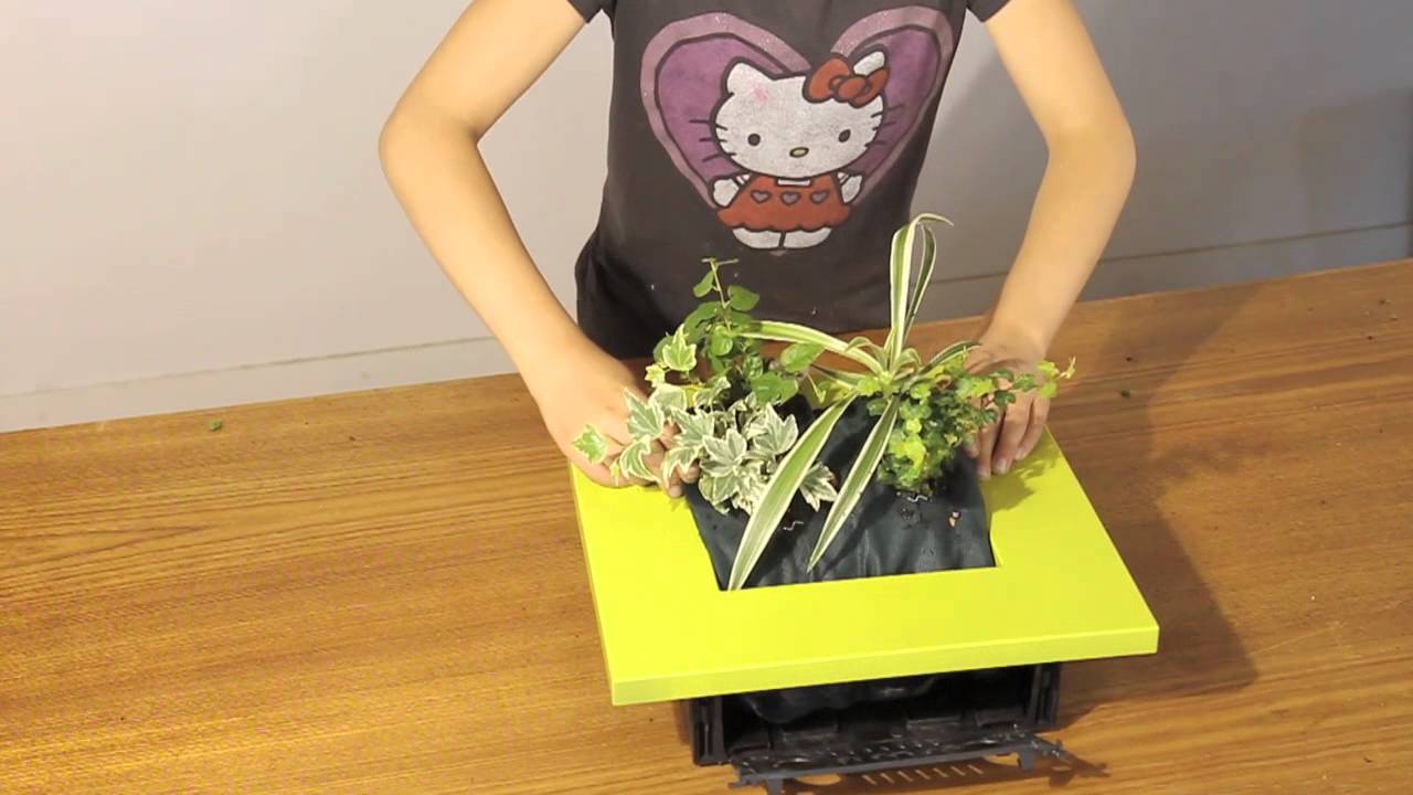 Planter un cadre WallFlower, c'est facile