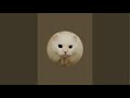 Snow chettri  is live