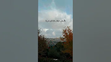 فلربما اتسع المضيق وربما ضاق الفضا 