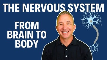 What Does Your Nervous System Really Do? | Nervous System (FULL LECTURE)