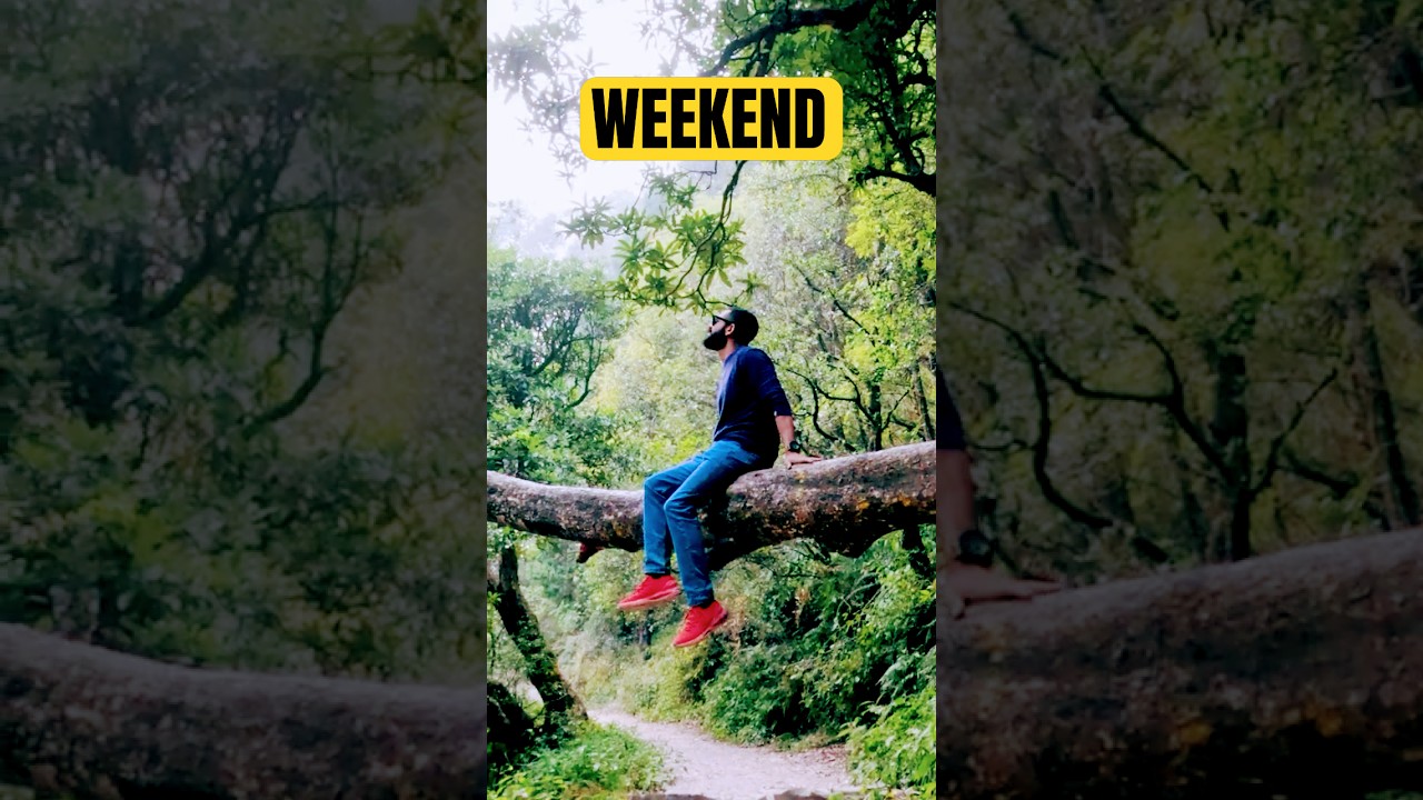 Top 5 WEEKEND DESTINATIONS from Delhi | Manali, Tirthan Valley, Narkanda, Harsil, Pangot