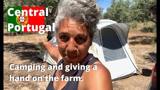#52 New Life Portugal | Camping, Farm Work and Foraging 🌱