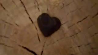 Stone - heart Найден камень в виде сердца. К чему это?