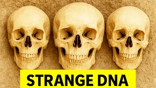 Ancient Dna REVEALS The Shores Of Patagonia’s First Inhabitants WEREN'T Who We Thought!