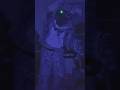 Withered Bonnie #fnaf2 #music #foryou #jurassicworld #foryou
