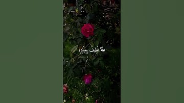 الله لطيف بعباده | عبد الباسط | سورة الشورى