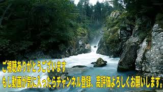 広告無し ナイツ 傑作漫才+コント #20 睡眠用 作業用 勉強用 ドライブ用 概要欄タイムスタンプ有り