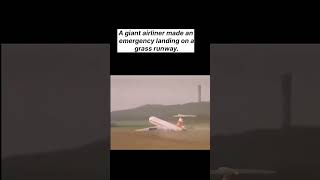 53-Meter Airliner Makes an Incredible Emergency Landing on Grass! 😱✈️#GollyMatter