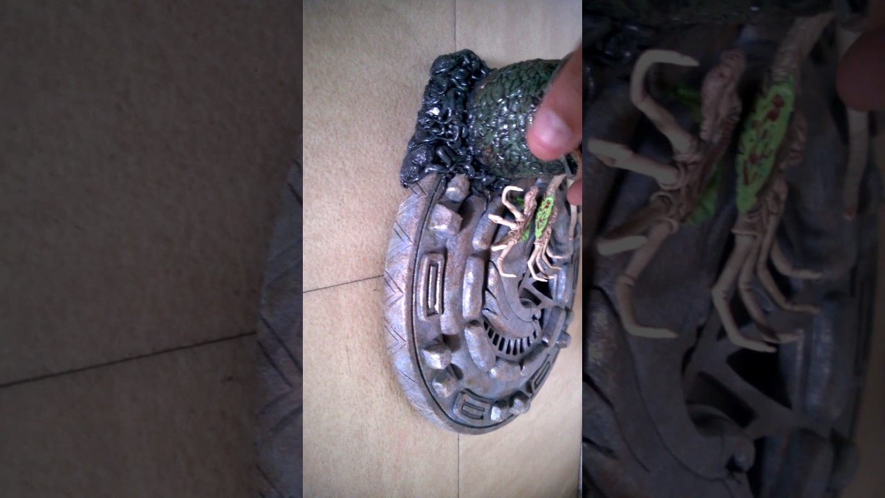 base 1/6 scale , Predator/Alien with alien egg