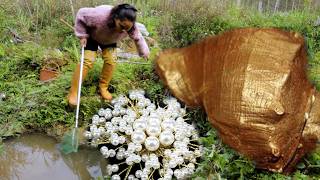 Discovering the pearls hidden by clams! Girl uses wisdom to acquire pearl wealth