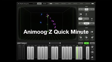 Animoog Z Quick Minute