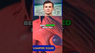Vampire Squid Haunts Deep Sea with Gothic Horror Look #vampiresquid #oceanmonsters #deepseafish
With a spooky, webbed cape that screams Gothic chic, the Vampire Squid may look like it belongs in a horror novel—but this gentle deep-sea creature just wants to hang out in style. Vampire Squid Haunts Deep Sea with Gothic Horror Look #vampiresquid #oceanmonsters #deepseafish
