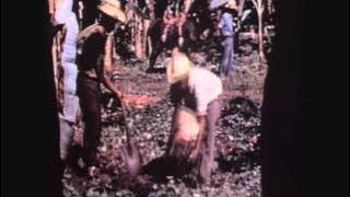 Chłopomania - Powrót do przyszłości