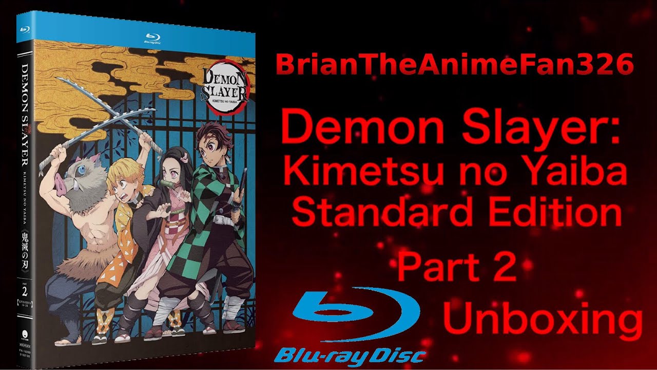 Demon Slayer: Kimetsu no Yaiba Standard Edition - Part Two