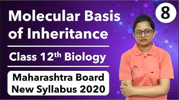 Molecular Basis of Inheritance Class 12th Biology Part 8