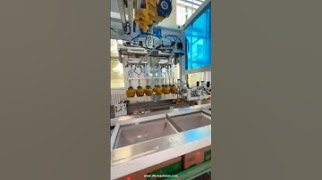 Automatic food bottle jar robot hand pick up inserting box encasing line