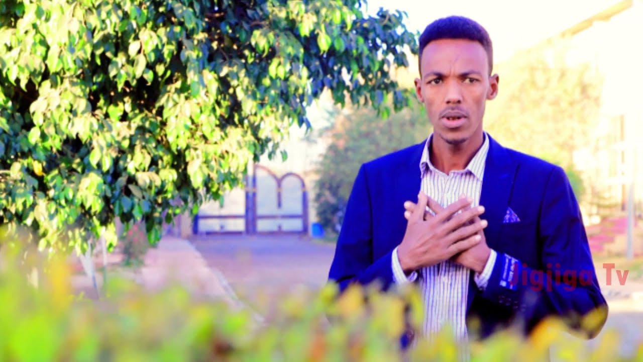 Dhaanto Cusub Gafoote Arooskii Ugaas Qadri Farah iyo Kifaax Xaashi 2022