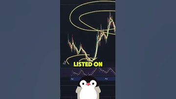 The Perfect Meme Coin Play #memecoin