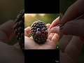 The Dark Ruby of the Garden 🫐✨  #asmr #viral #minimunch #food #oddlysatisfying #shorts #shortvideo