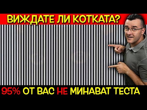 Видео: Как S вълните и P вълните пътуват през вътрешността на Земята?