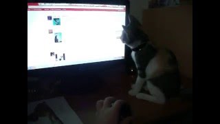 DSCF1537 (online-video-cutter.com)
