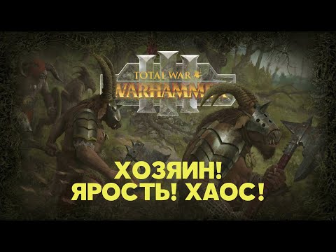 Видео: Зверолюды. Разбор фракций Total War Warhammer 3