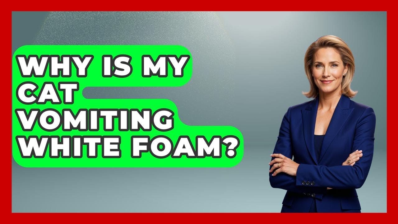 Why Is My Cat Vomiting White Foam? - PetGuide360.com