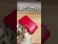 ジャンクの赤いDS買った結果…　[DS][ハードオフ]
