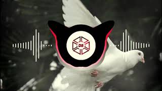 Kabootar Ja Ja || SMR DANCE MIX || DJ'S OF SATARA