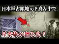 ゲリラの島の死闘！パナイ島の太平洋戦争【ゆっくり解説】