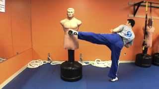 Roundhouse Kick on the Bag: Rear leg & Lead leg.