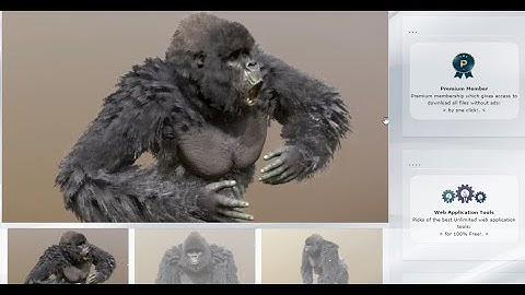 Free Gorilla 3D Model with Texture