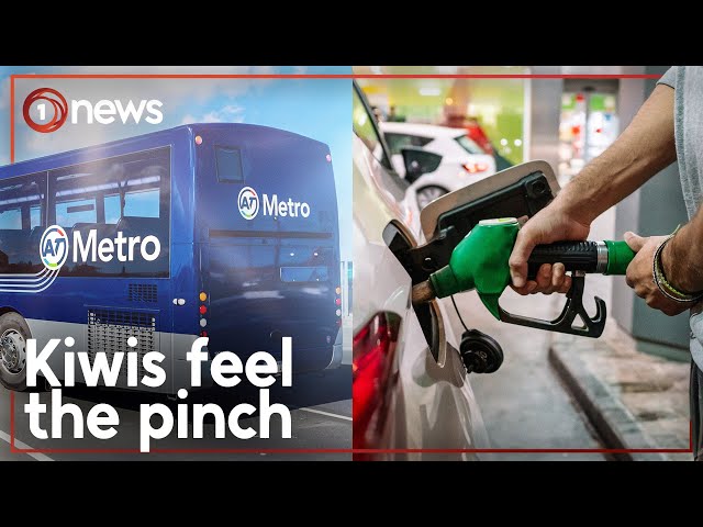 Rising costs hit Kiwis as public transport subsidy ends | 1News class=