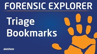 Evidence Triage Bookmarking In Forensic Explorer Profile