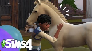 horse, cavalo, pulando, the sims, ilustração, movimento