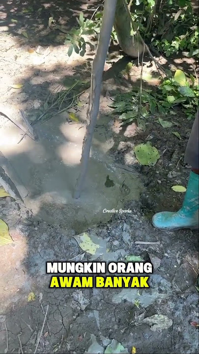 Pentingnya tetap waspada saat berada di alam liar #shorts #fyp