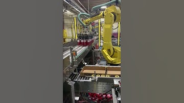 Robot transfer bottles from tray to moving conveyor #howitsmade #robot #automation