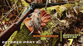 Woodcock Hunting October | Northwoods Woodcock Hunting 7 Part 3 #woodcock