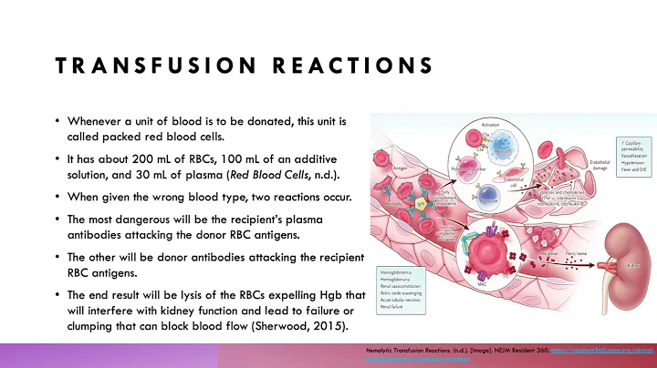 Erythrocytes