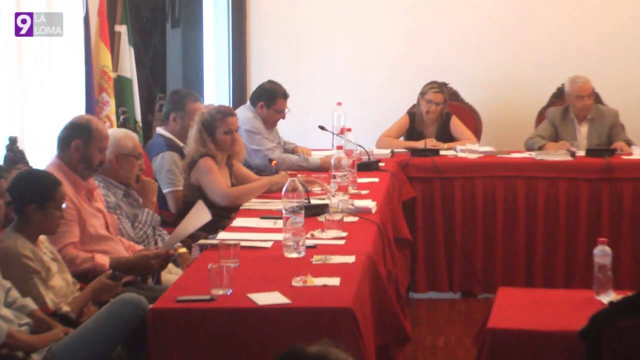 Pleno Ordinario Baeza · 29.7.2014