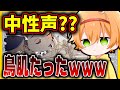 【神回】初めて凸に来た歌い手の「ギラギラ」が想像以上にヤバすぎるwwwwwwwwwwwwwwwwwwwwwwwwwwwwwwwwww