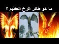 العنقاء او طائر الرخ في علم الاساطير هل هو حقيقة ام اسطورة