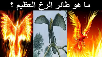 تحميل طائر الرخ