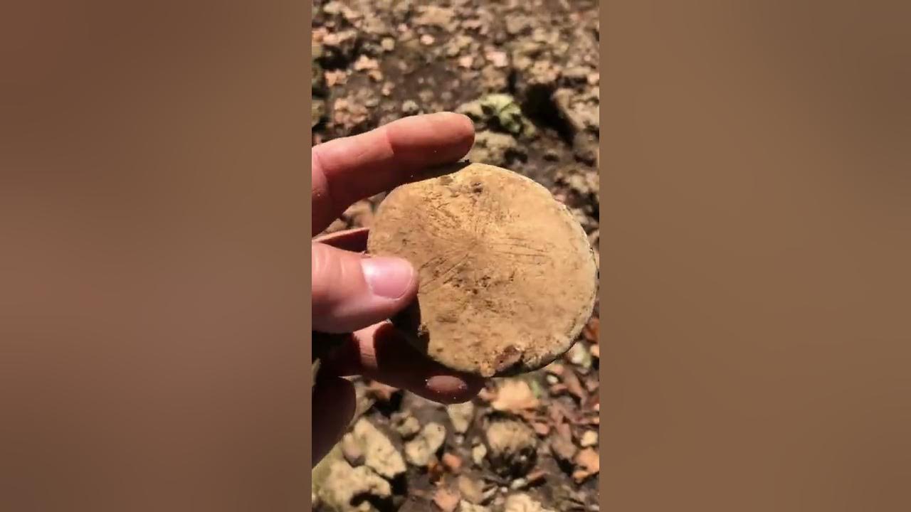 Choctawhatchee river Geneva ,AL YouTube