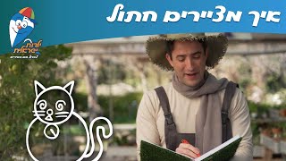 שירי חנן הגנן - איך מציירים חתול - ילדות ישראלית