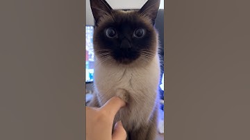 Carefully Calculated All The Factors 😂